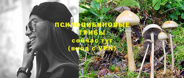 мет Армянск