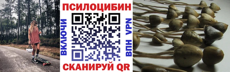 Галлюциногенные грибы Psilocybe  Болотное 