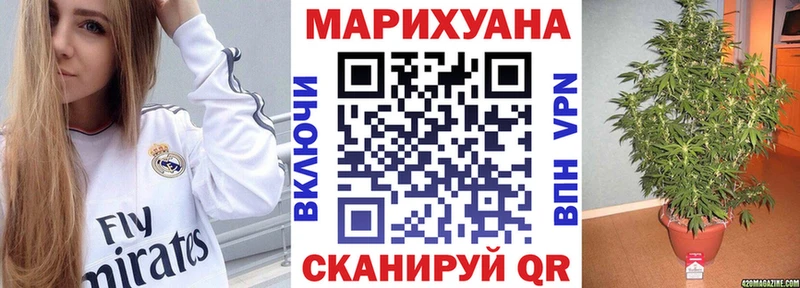 Бошки марихуана планчик  Болотное 